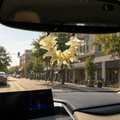 Manini Plumeria Car Lei